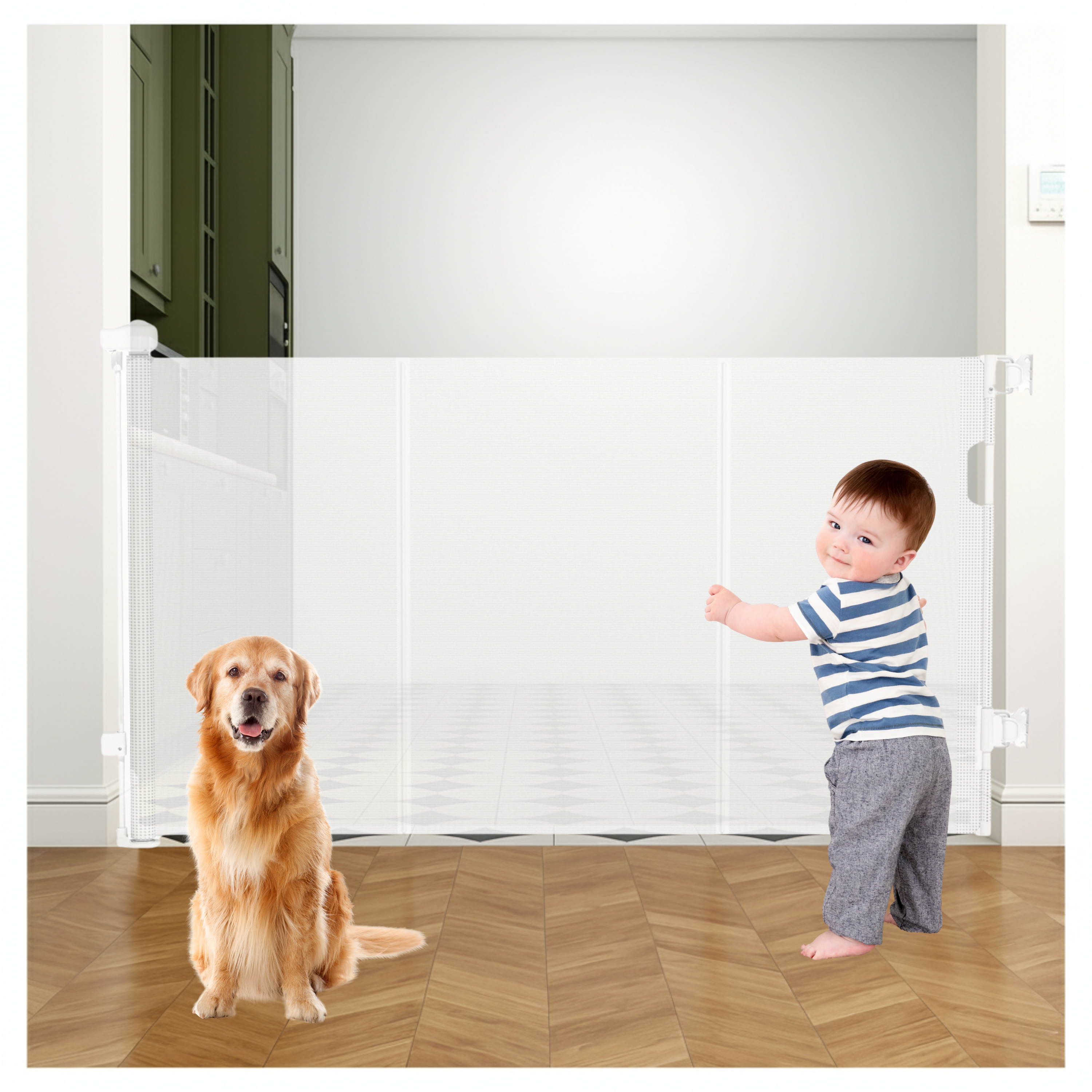 Toddler gripping white retractable mesh baby gate on herringbone floor, golden retriever on left side