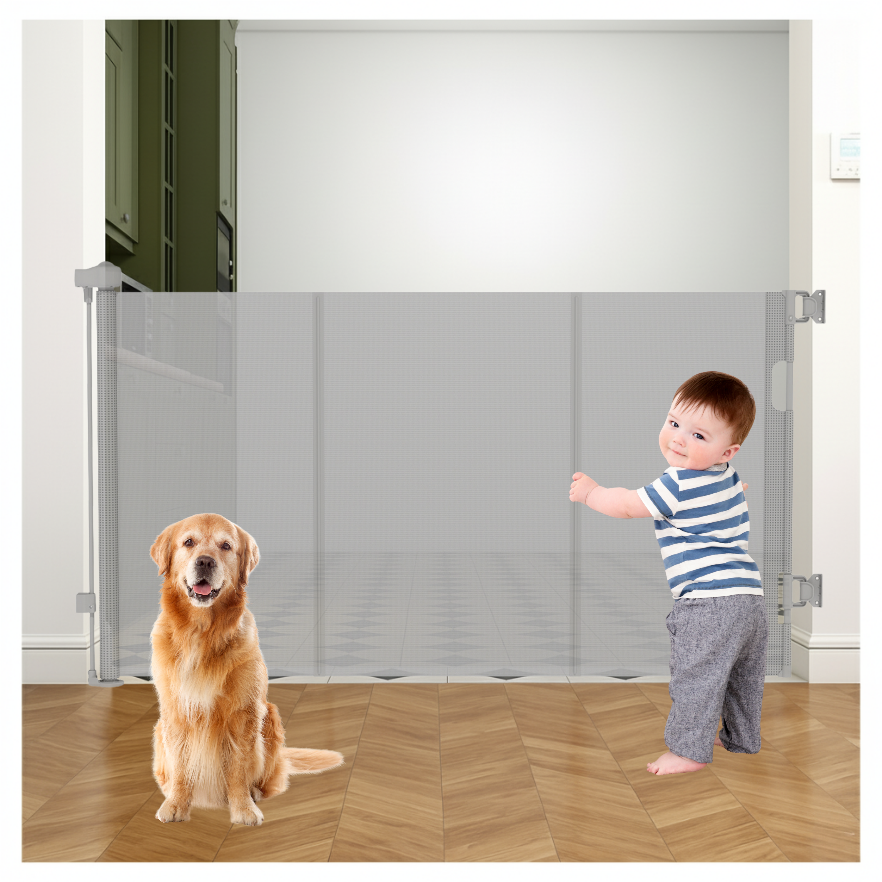Toddler touching grey retractable mesh baby gate on herringbone floor, golden retriever on opposite side